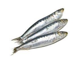 Pilchards 1kilo